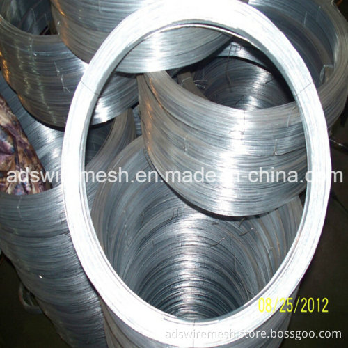 Galvanized Iron Wire (BWG8-BWG34)